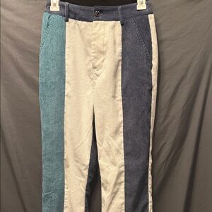 Multicolor Corduroy Pants by Cider